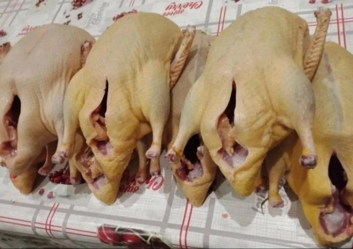 Мясо Индоуток и Уток нежное молодое мясо тушками