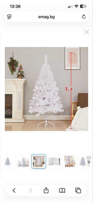 Коледна бяла елха