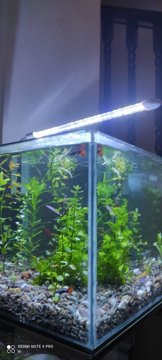 Akvarium sotiladi