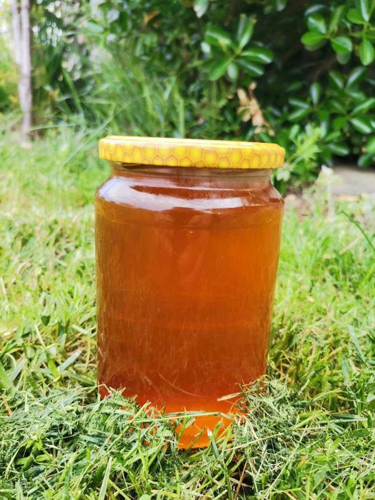 Натурален пчелен мед от производител