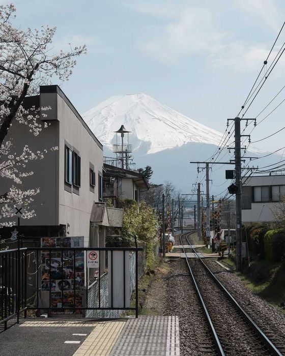 Репетитор ЯПОНСКИЙ язык / онлайн