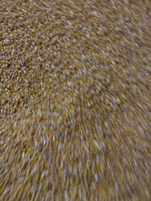 Porumb 2025 uscat curat.1ron