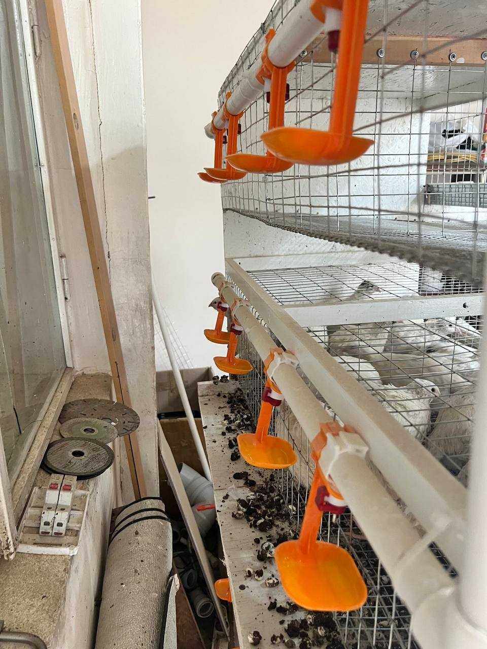 4 qavatli bedana uchun avtomatik qafas