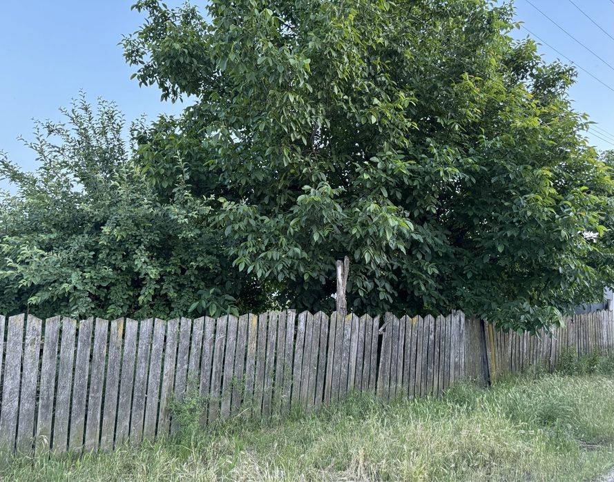 Teren pentru casa intravilan Com. Podari, Dolj