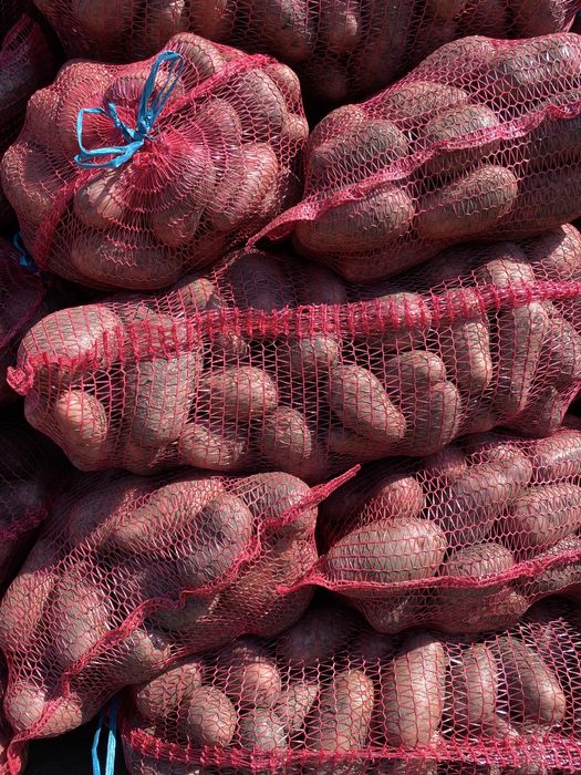 Cartofi consum red lady