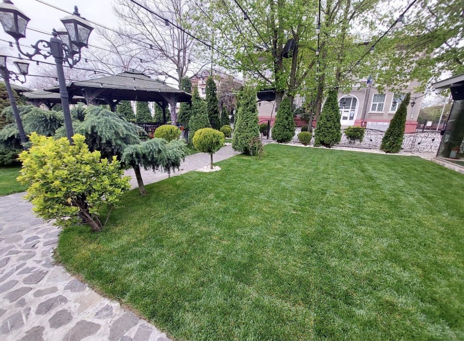 Plante ornamentale aclimatizate