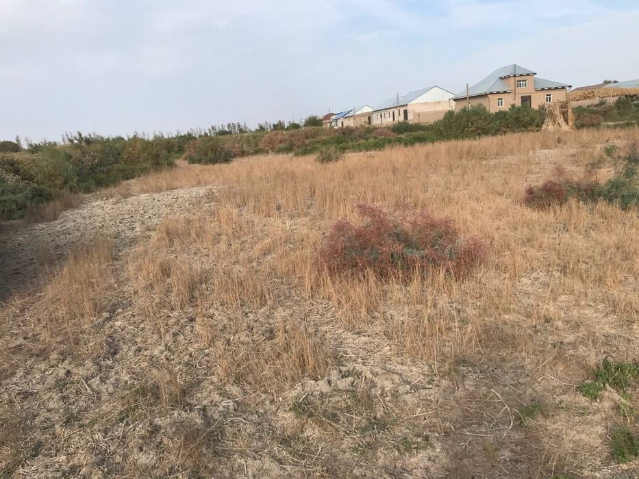 Qoriqtom qilshlogida joylashgan 400kv dan 4ta  joy ornilari sotiladi