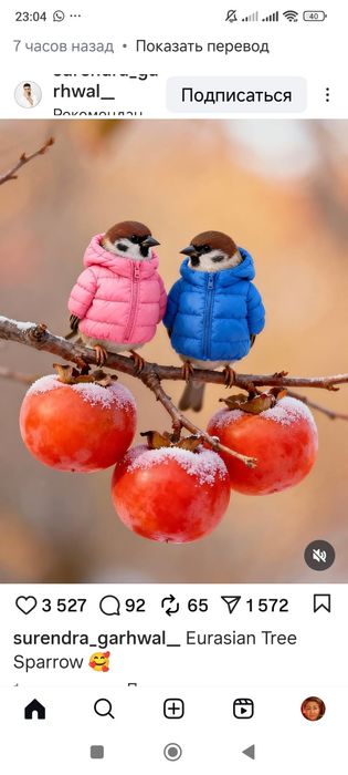 Дублёнка Авиатор  Демосизонная