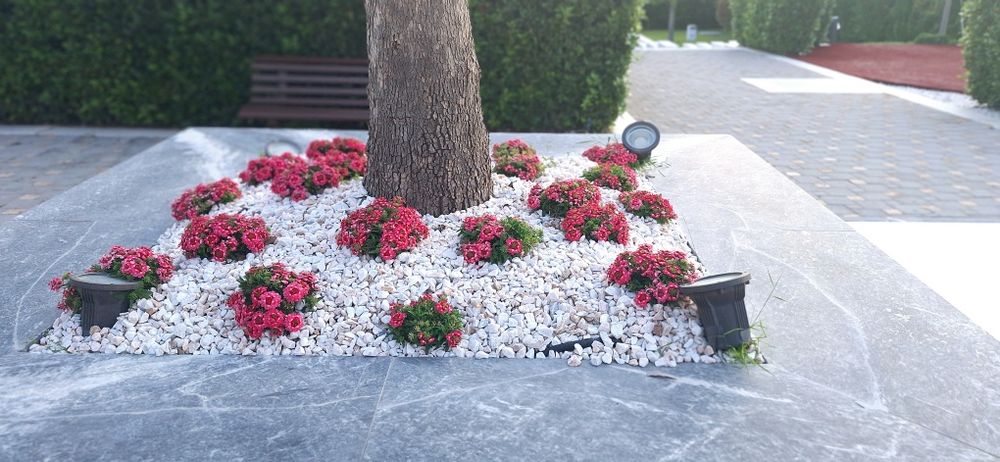 Доставка на бели къмъни(тип чакък)за украса и декорация на градинки