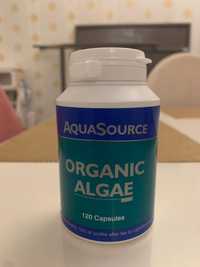 Aqua Source органични водорасли Organic Algae