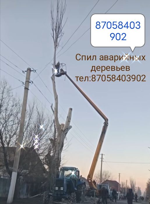 Спил аварийных деревьев!