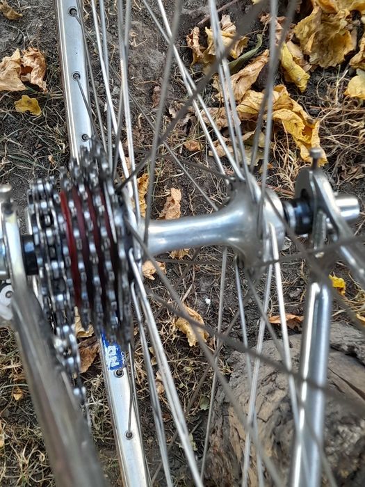 Cursiera clasica Hans Lutz campagnolo