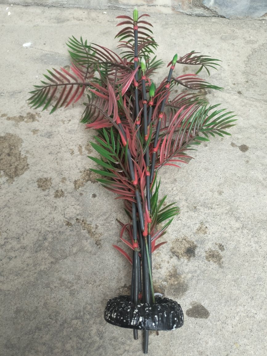 Akvarium aksesuarlari sotiladi