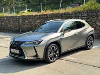 Lexus UX 250h e-four Luxury Package