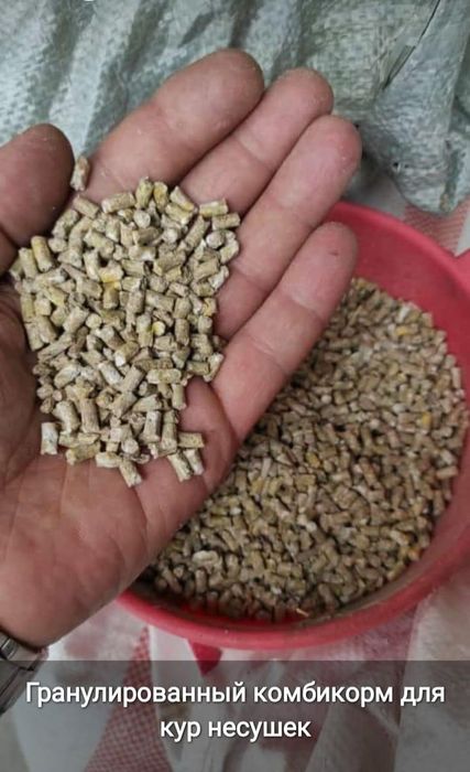 Продажа кормов для сельхоз хозяйства 110тг