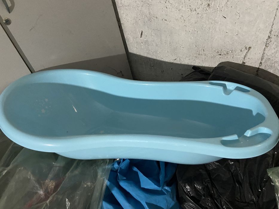 Vina cadita belus culare albastri