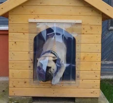 Cortină pentru cușcă PVC