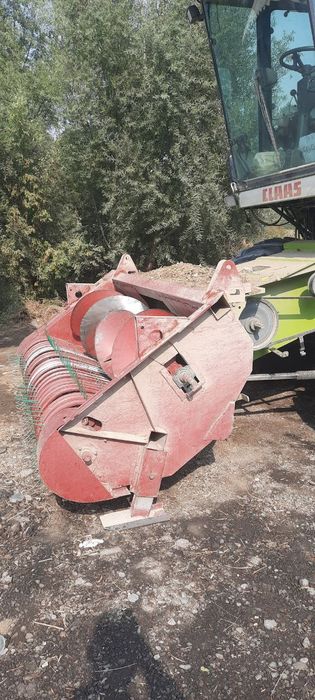 Padbor jatka sotiladi