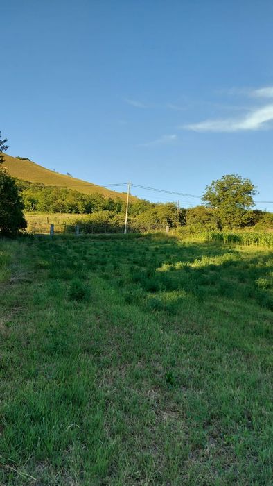 1900m² intravilan Valea Căptălanului