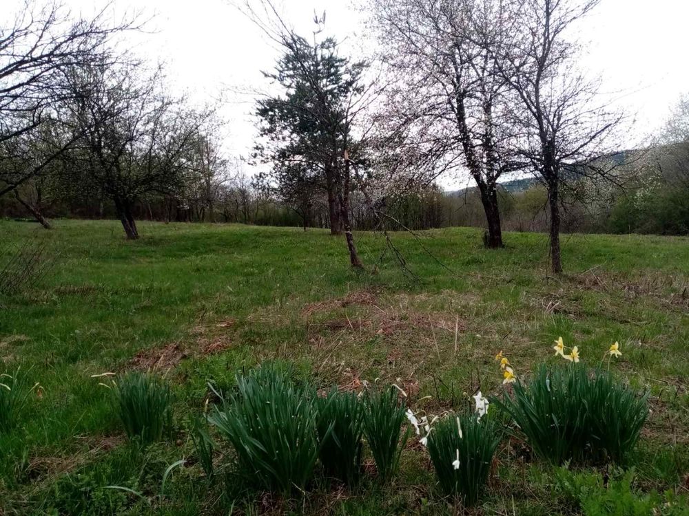 Парцел  гр. Трявна