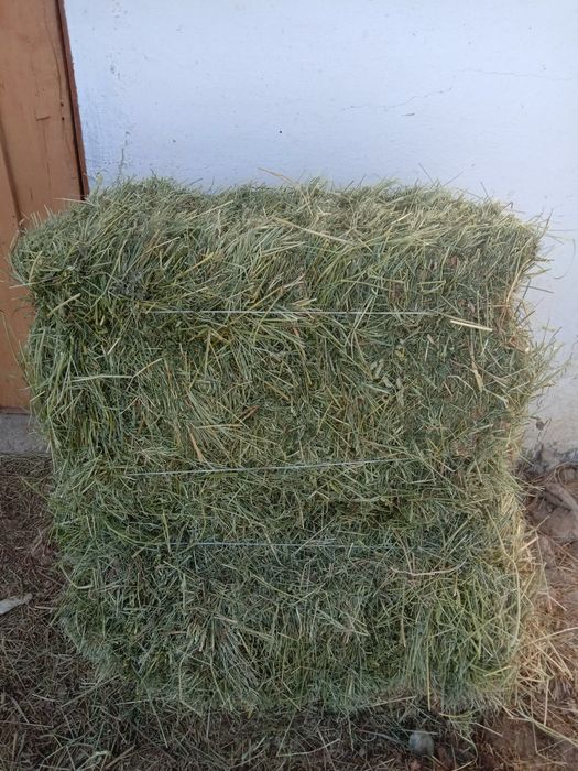 1Сено горное, разнотравье