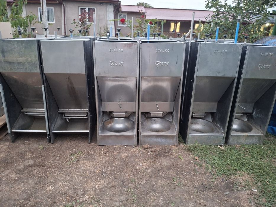 Hranitoare porci automate/Boxe fatare/Podele