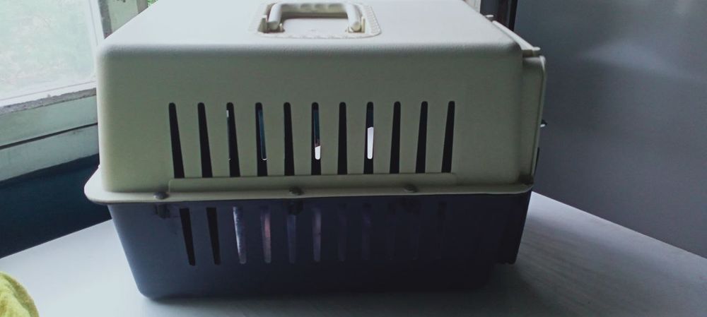 Перенос для животных