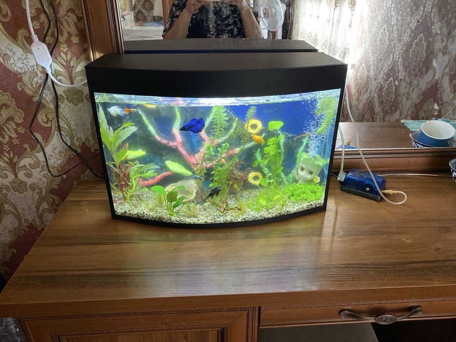 Аквариум 30 литровый