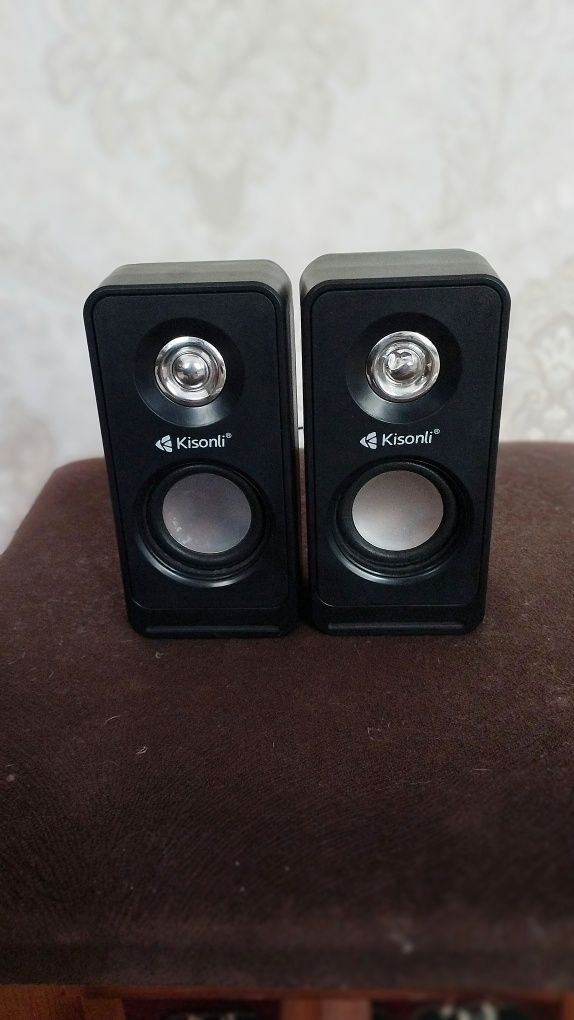 Kalonka kisonli t-002