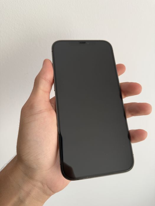 iPhone 12 Pro Max 265 GB Graphite