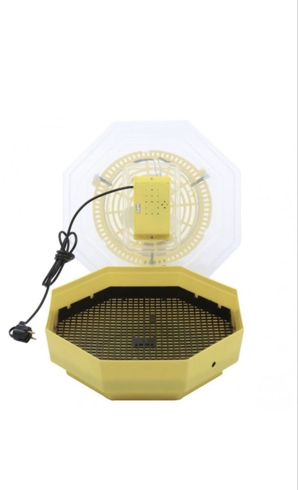 Incubator oua Cleo