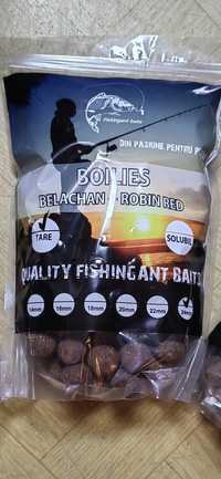 Boilies tare și solubil Belachan +Robin Red si pasta pentru plumb.