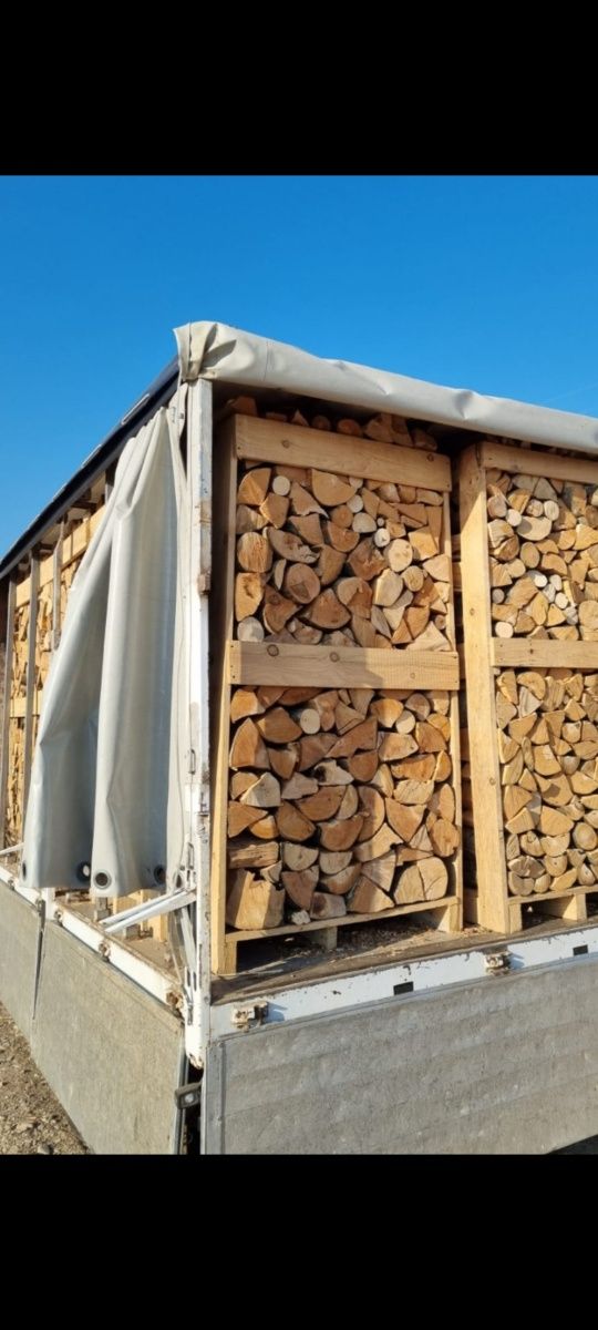 SC vinde lemne de foc taiate sparte fag paletizate