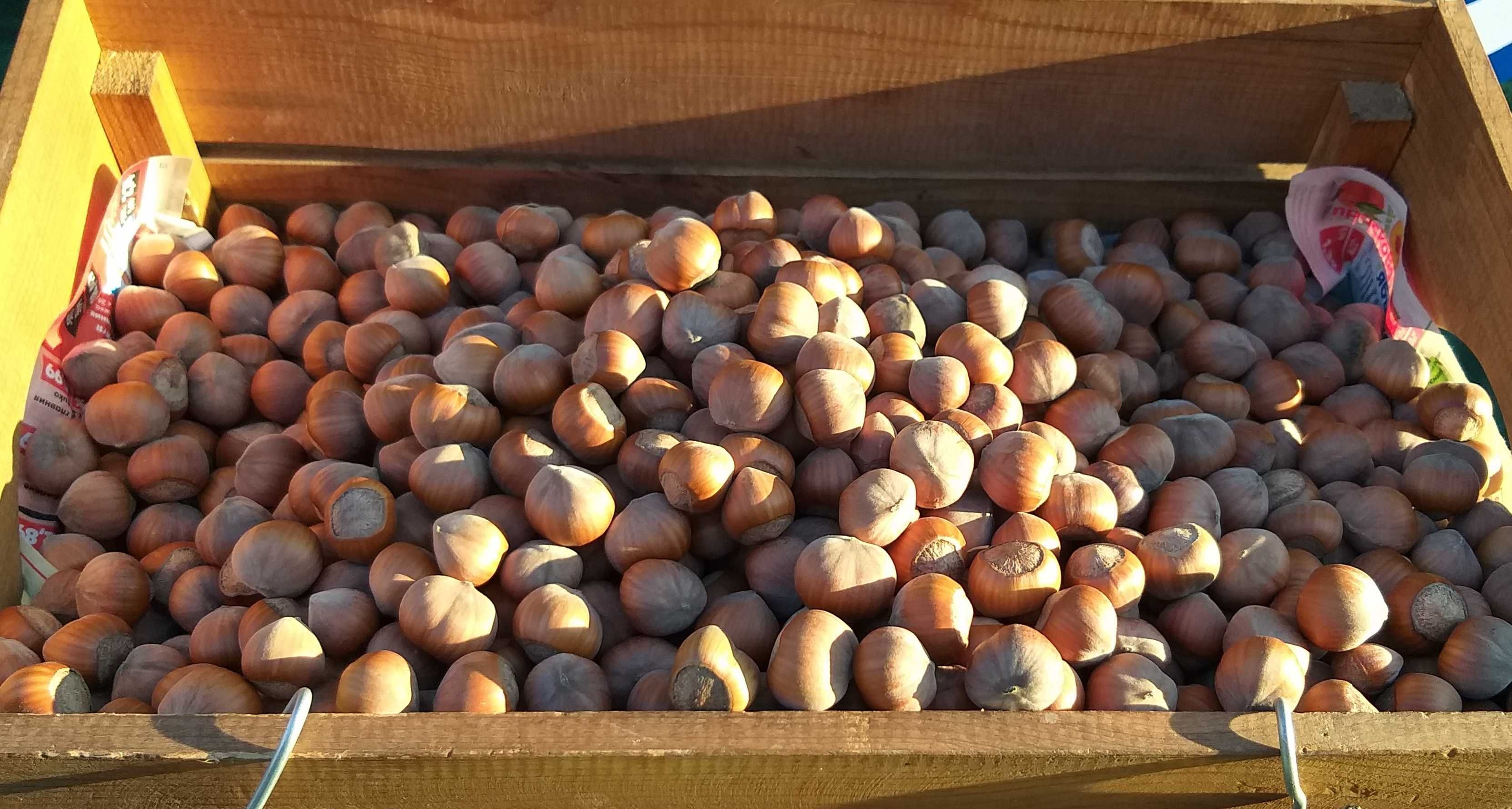 Продавам лешници