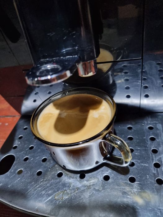 Aparat de cafea Delonghi magnifica S