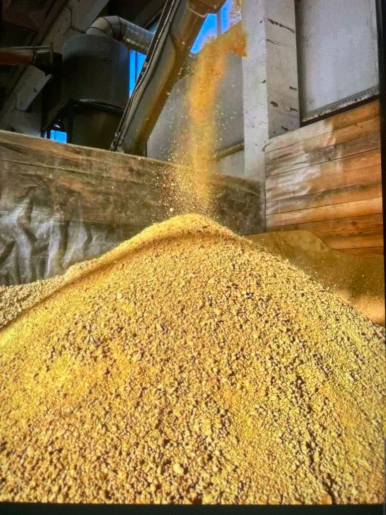 Vând Șrot soia  3700 lei tona
