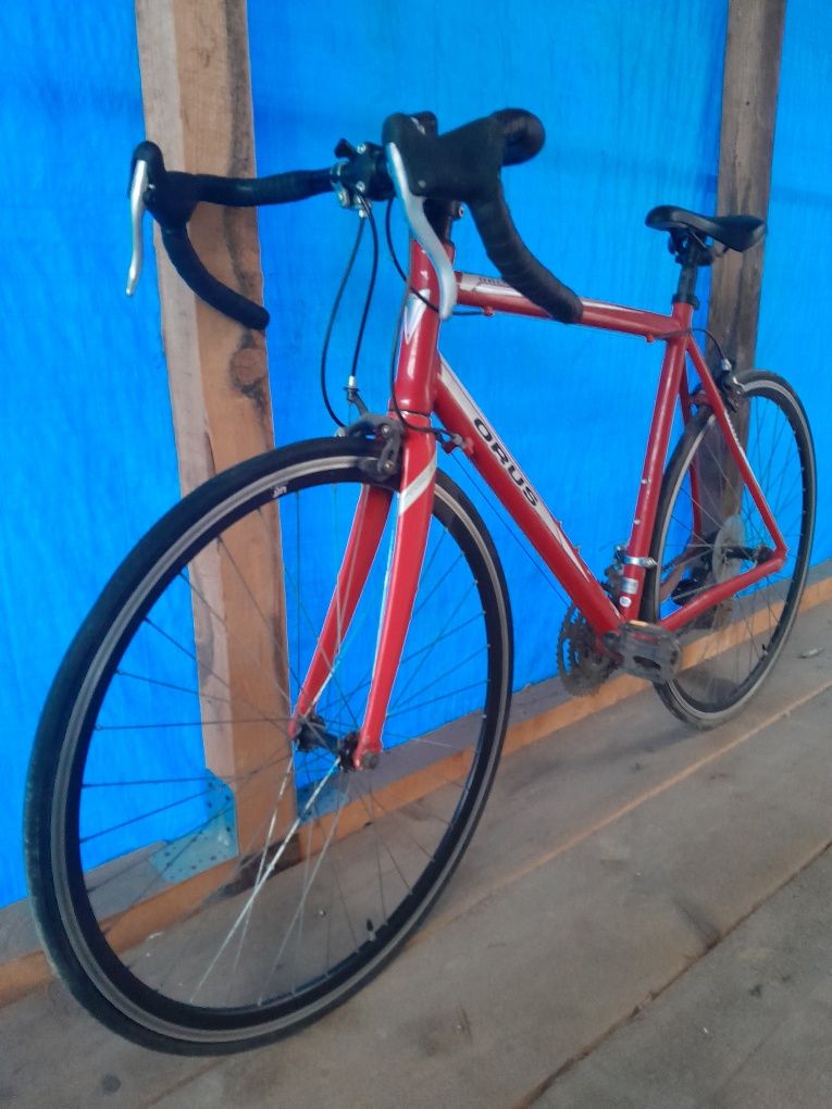 Bicicleta Ours de curse