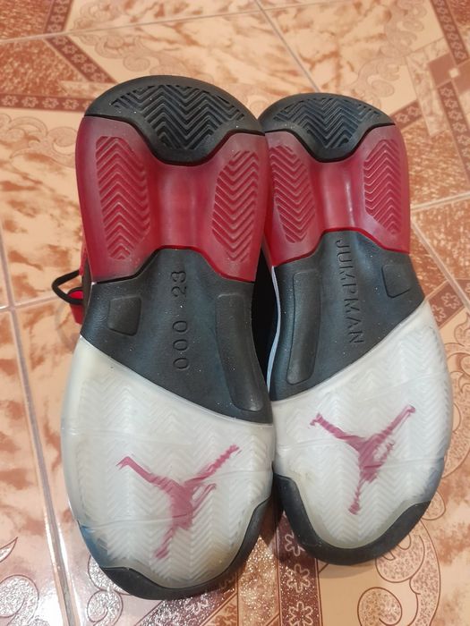 Schimb Jordan Maxim 200 pe un cățeluș de rasa