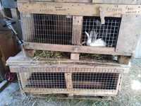 Продам клетки для кроликов