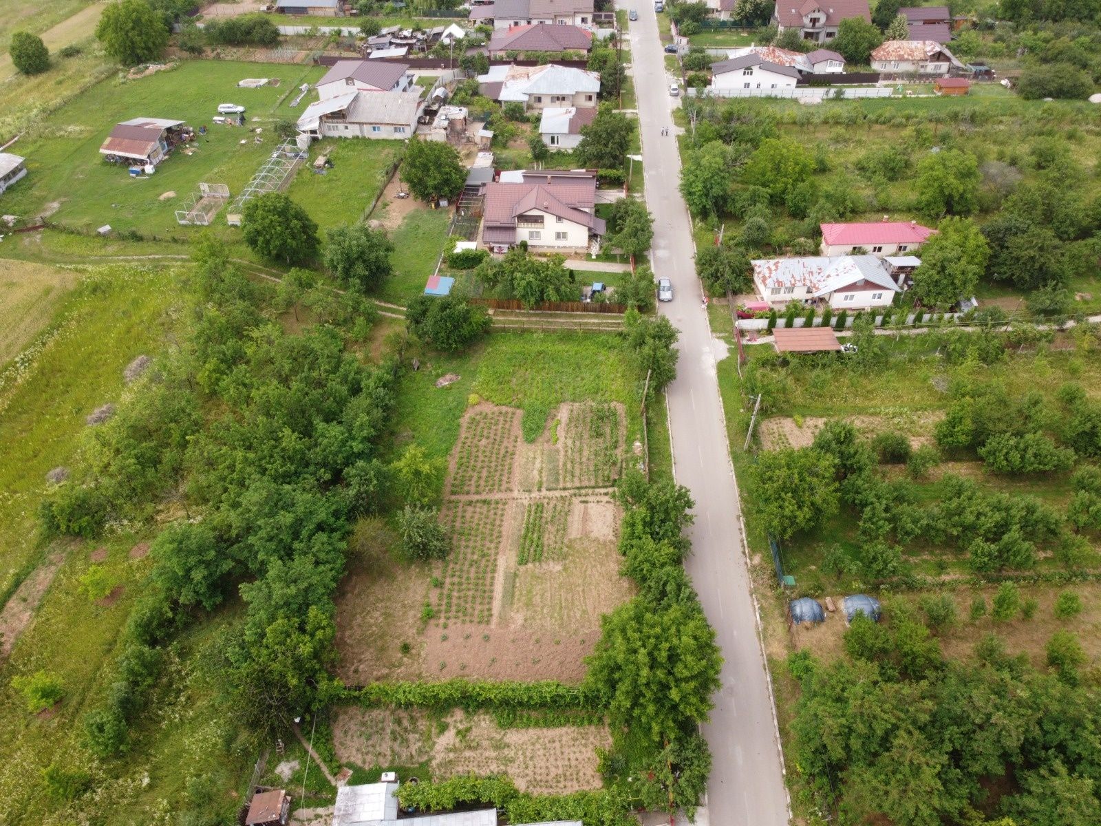 Teren in Baicoi Prahova de vanzare