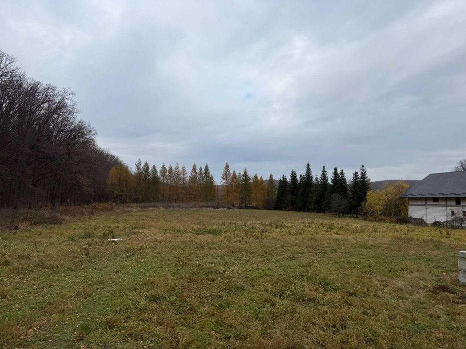 Vand teren unic in Dragomirna, pentru locatie evenimente