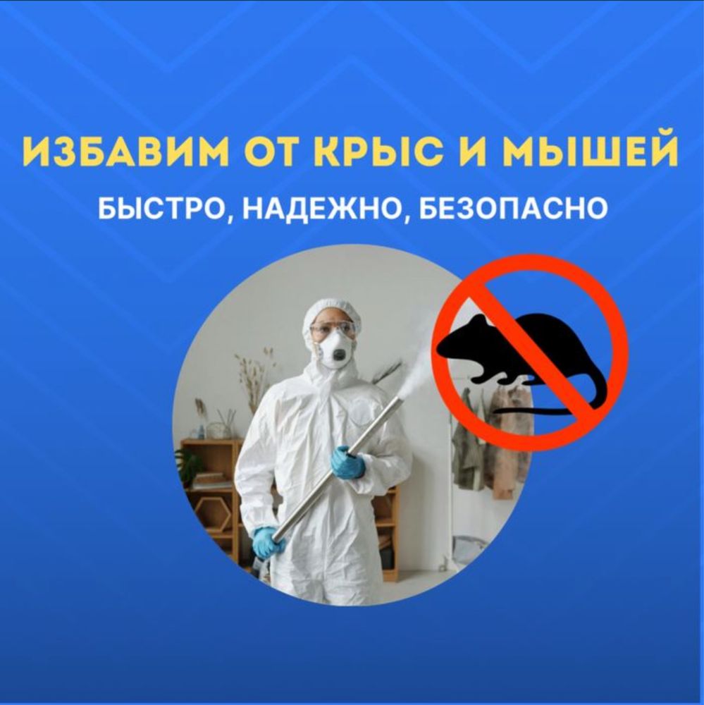 Дератизация - уничтожим мышей и крыс быстро, безопасно. гарантированно