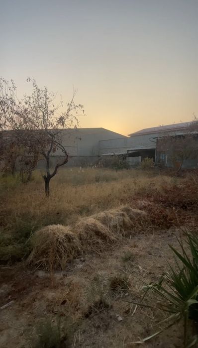 Toshkent tumani toshmi posti OLTIN TEPA