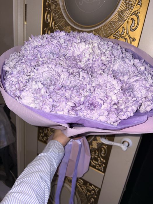 сиреневые хризантемы букет цветы