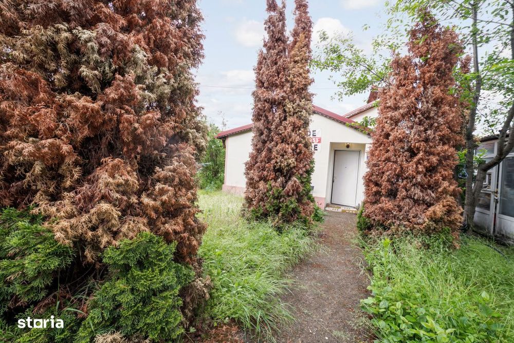 Teren de vanzare*Gradistea