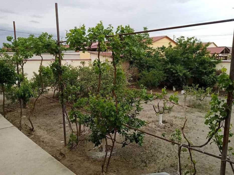 ДОМБРАБАД. участка 3,5 сотих. 6 хона  120 м² Фасад 16 метр