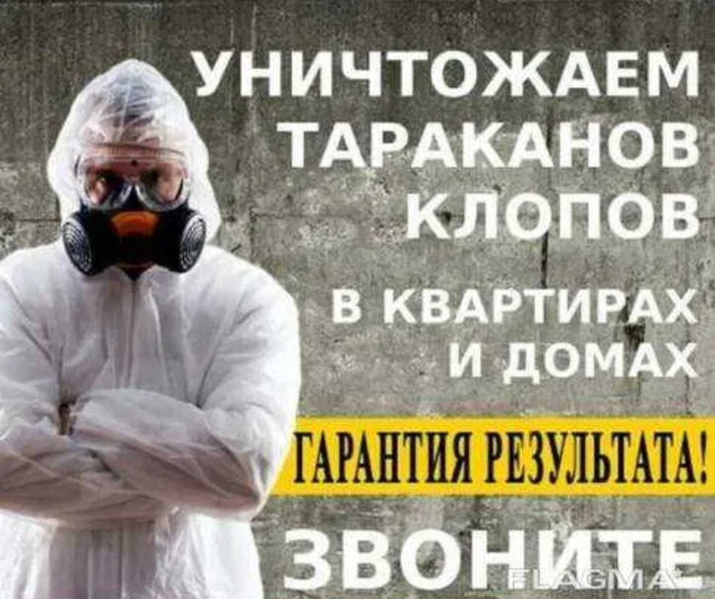 Дезинфекция от насекомых | dezinfeksia | дезинфекция YT-08