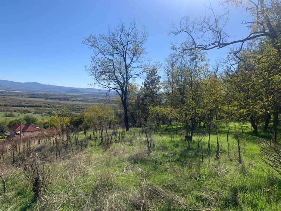 Продава се Парцел в Карлово - 9329 кв.м за 60 €/кв.м - Снимка #3