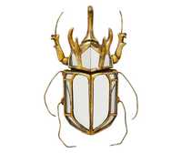 Decoratiune de perete beetle oglinda