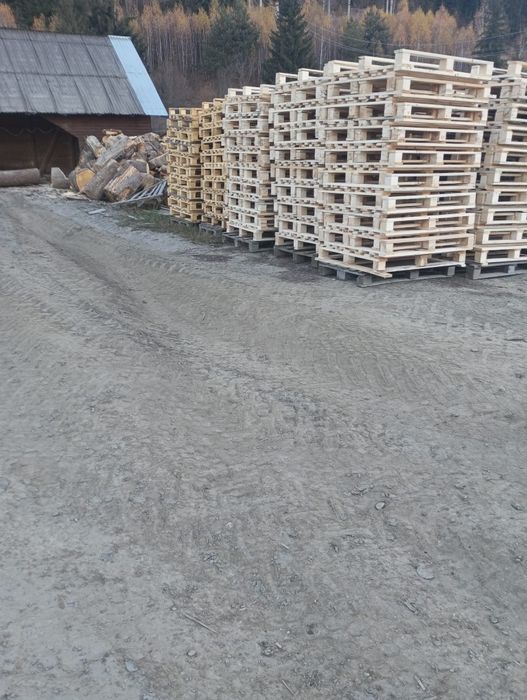 Vând paleti euro și NON euro